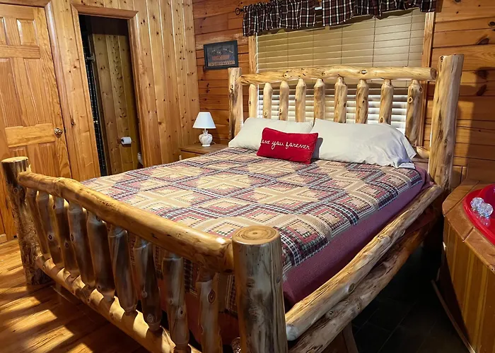 Beary Tale! Your Happily Ever After Starts Here!
